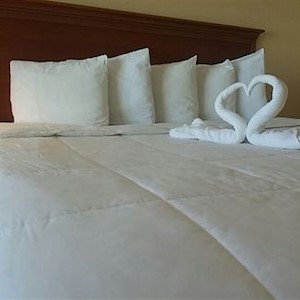 Emerald Shores Bed Towel Swans